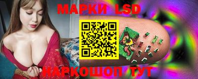 PSILOCYBIN Заводоуковск