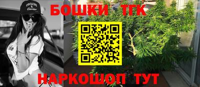 PSILOCYBIN Заводоуковск