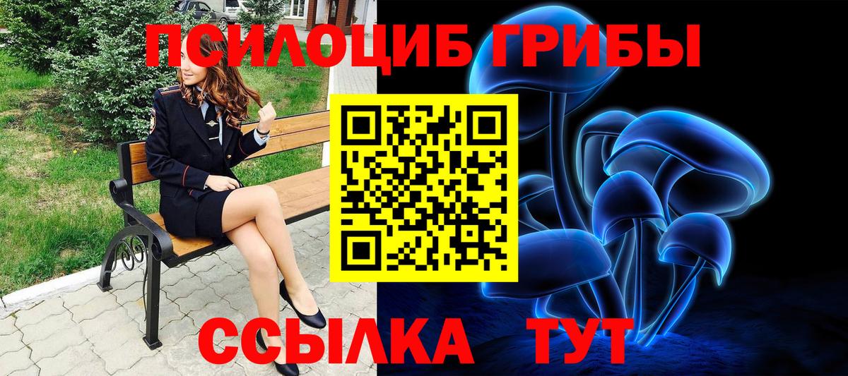 Галлюциногенные грибы Psilocybe Луховицы